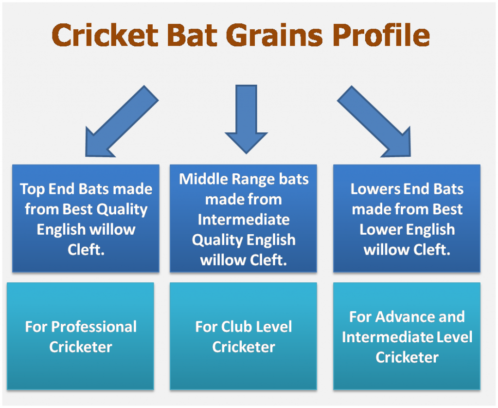 Complete Guide on Cricket bat Grains Concepts